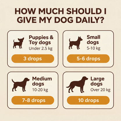 Daily dosage guide by dog size